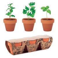 SET DI TRE VASETTI DI ERBE AROMATICHE